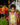 NiÃ±a con traje de baÃ±o enterizo de plÃ¡tano en un mercado de frutas colorido, con frutas tropicales a su alrededor.
