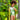 Look infantil de la colección Tierra Caliente de Pepita & Me, niña modelando outfit colorido en exterior verde.