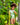 Look infantil de la colección Tierra Caliente de Pepita & Me, niña modelando outfit colorido en exterior verde.