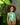 NiÃ±a con vestido o conjunto veraniego de la colecciÃ³n Tierra Caliente de Pepita & Me, en fondo natural.